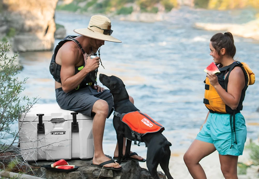 portable outdoor beverage cooler