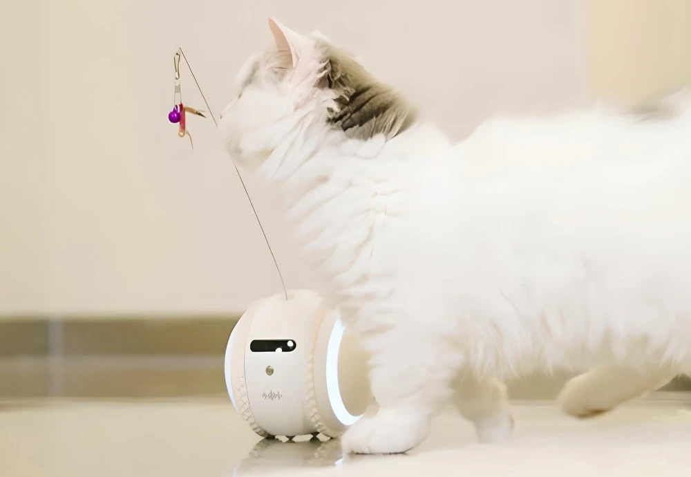 portable pet camera