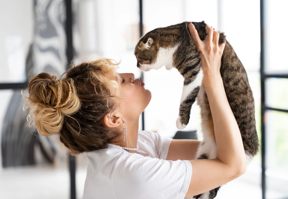 portable pet camera