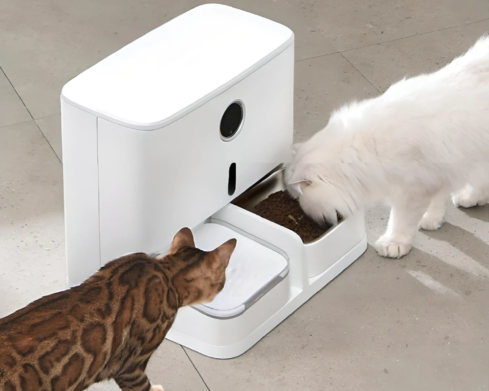 automatic dog feeder and water