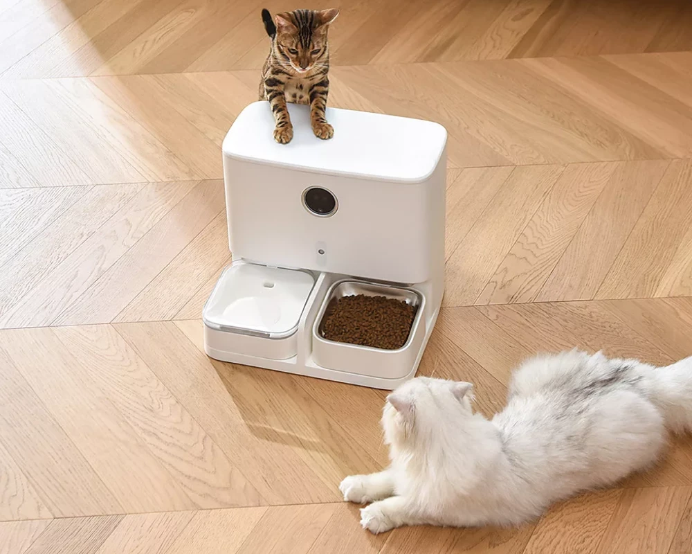 pet food and water dispenser