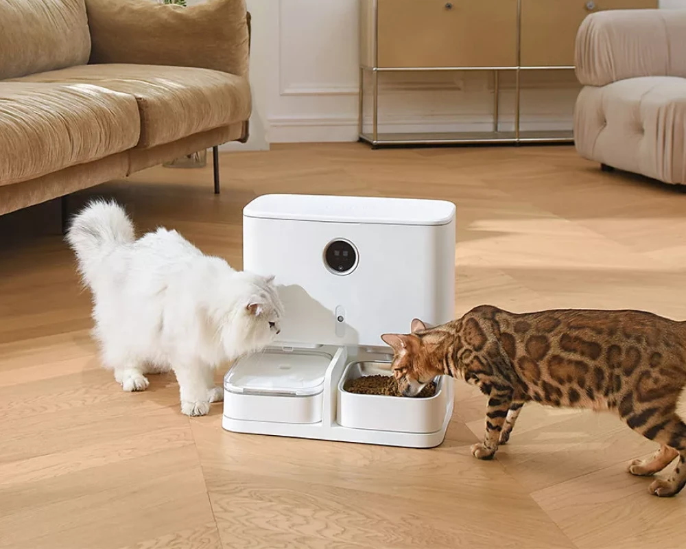 pet feeder automatic