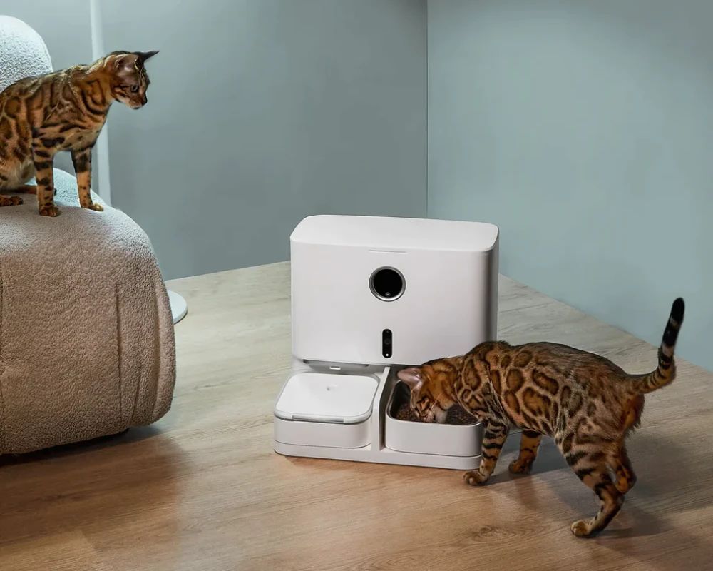 pets automatic feeder