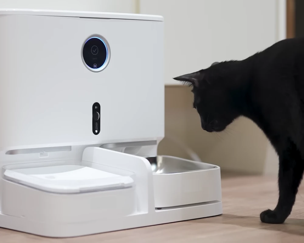 pet smart automatic pet feeder